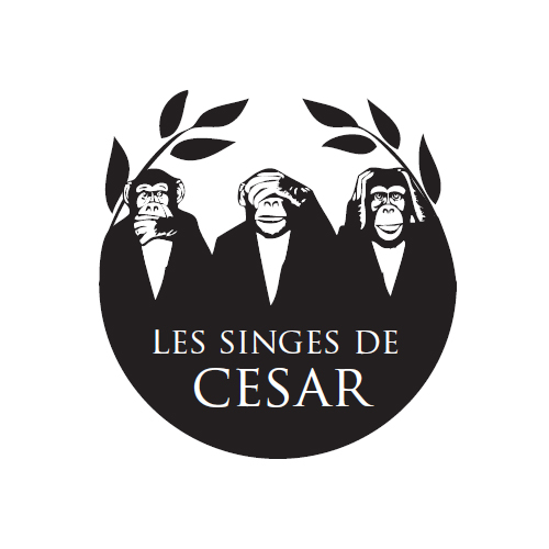 Les singes de cesar